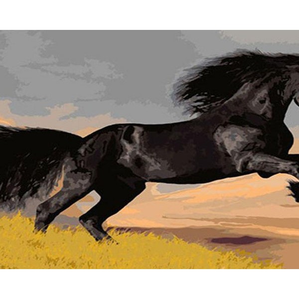 Stunning Black Horse