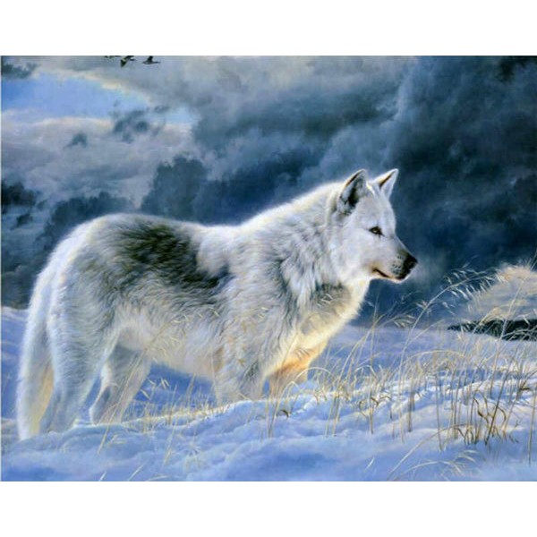 Stunning Snow Wolf