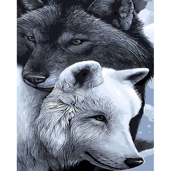 Black & White Wolves