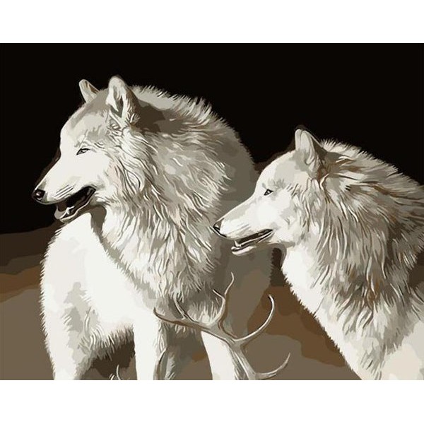 Stunning White Wolves Pair