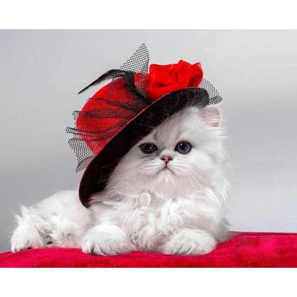 White Cat with Red Hat