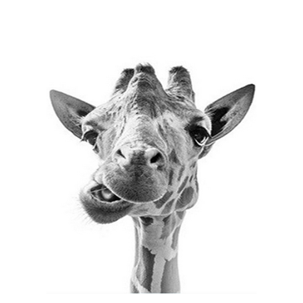Giraffe Face Painting Kit