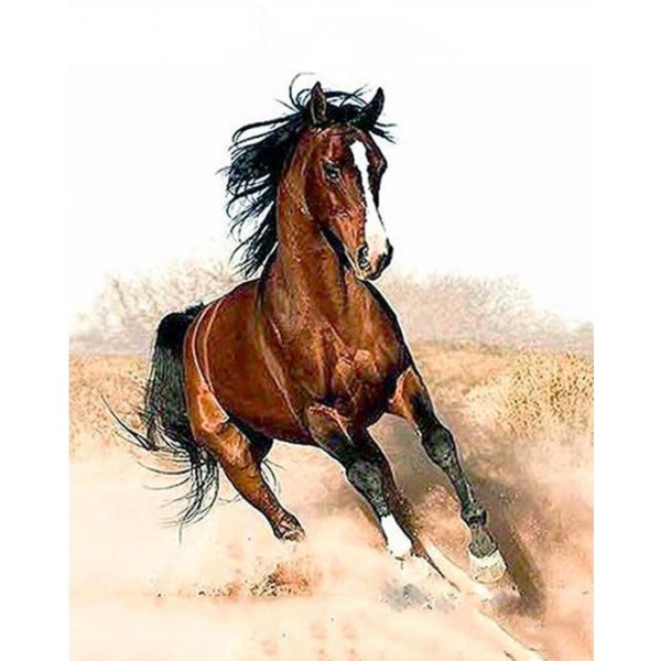 Running Brown Horse