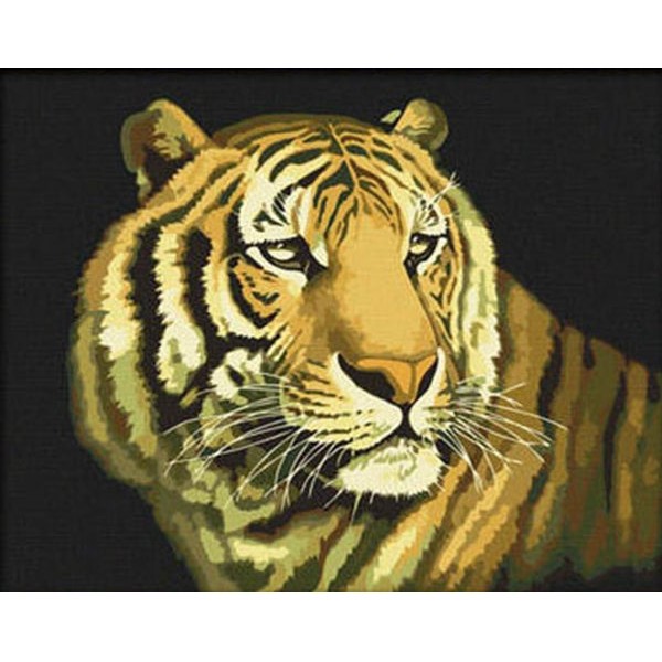 Stunning Tiger Stare