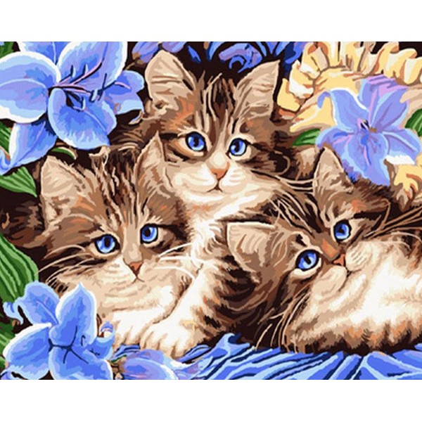 Cats with Blue Eyes