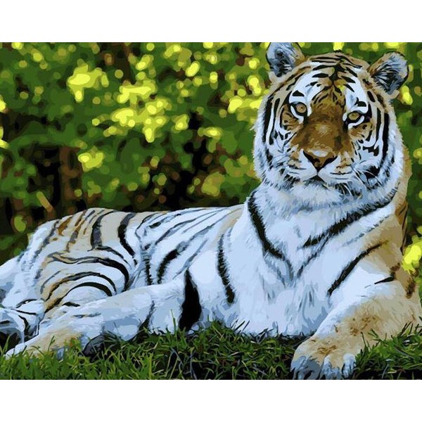 Stunning Tiger Painting Kit