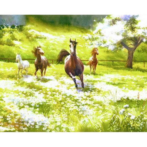 Horses Running in Meadows