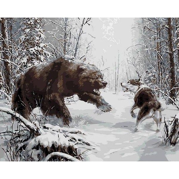 Bear & Wolf Fight