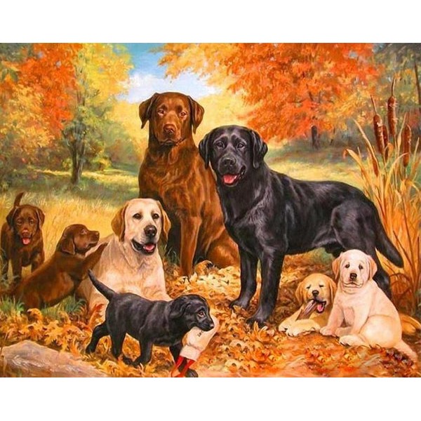 Group of Dogs & Puppies