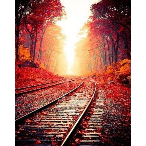 Autumn Trees & Rail Track
