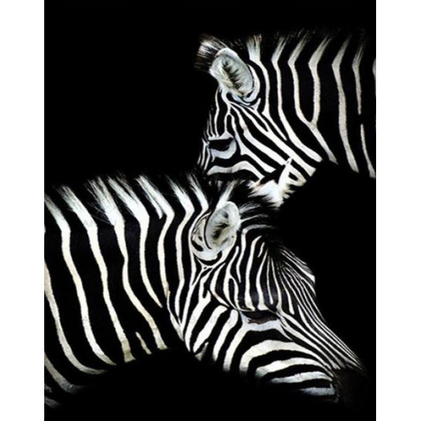 Zebras Pair Painting Kit