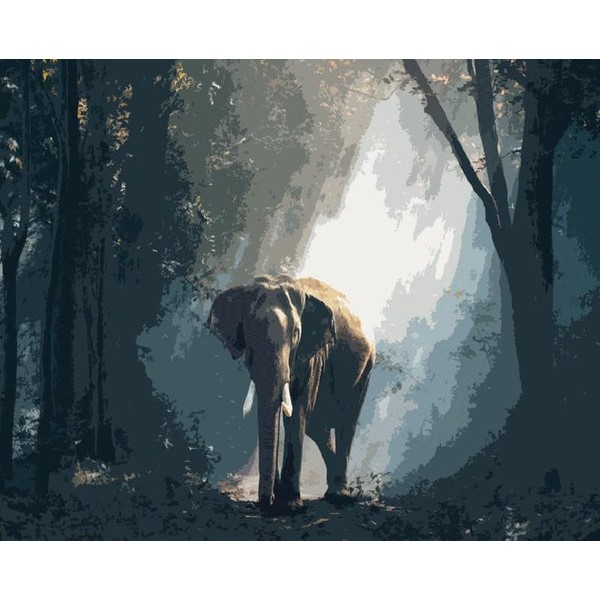 Elephant in the Forest