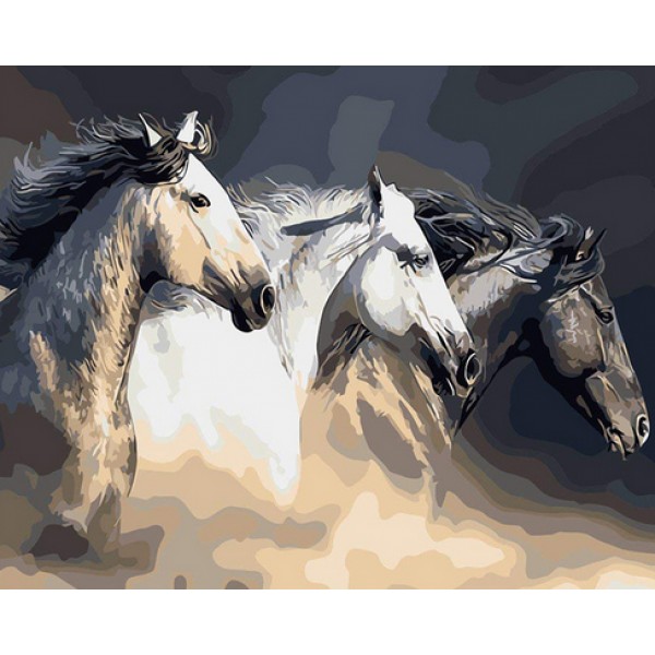 Three Stunning Horses