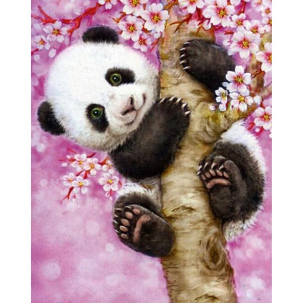 Baby Panda Hanging on Tree