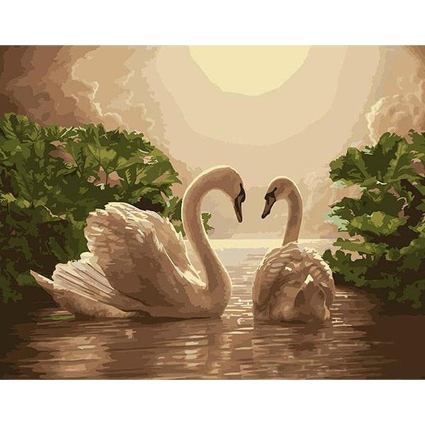 Beautiful Swans Pair