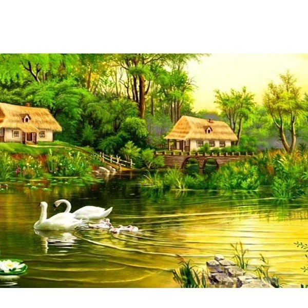 Swans & Green Forest View