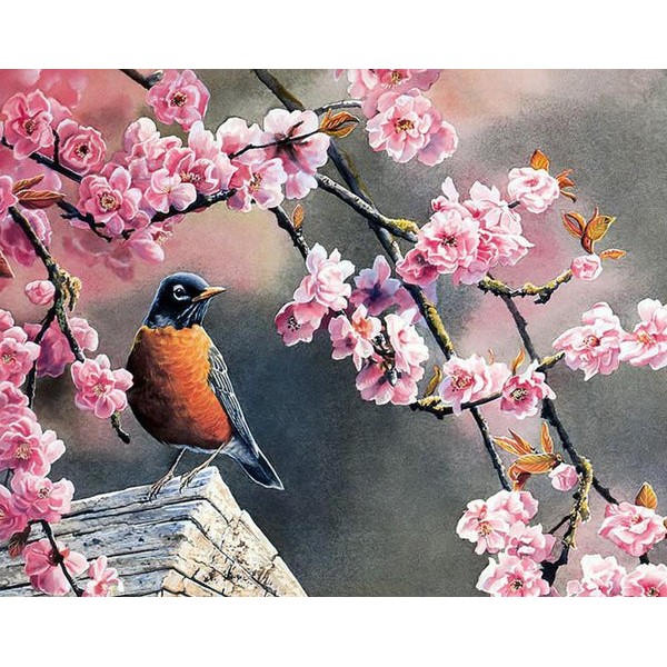 Cherry Blossoms & Bird