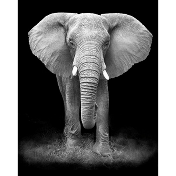 Elephant Painting Kit