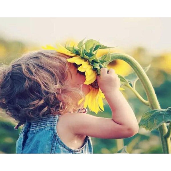 Little Girl Smelling Sunflower