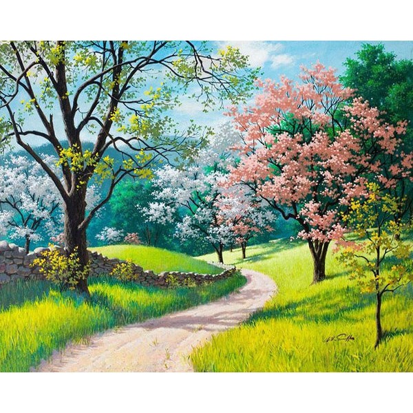 Spring Trees & Pathway Scenery