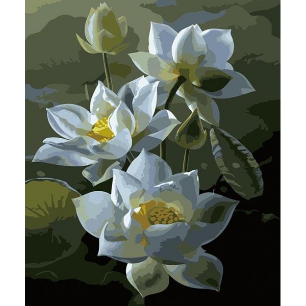 Teratai Lotus Flowers