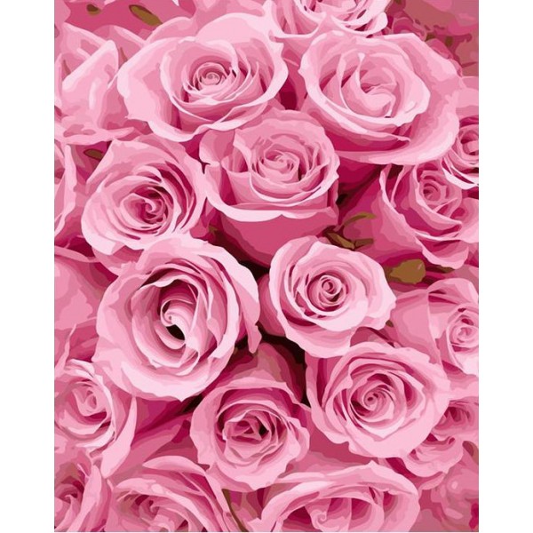 Gorgeous Pink Roses