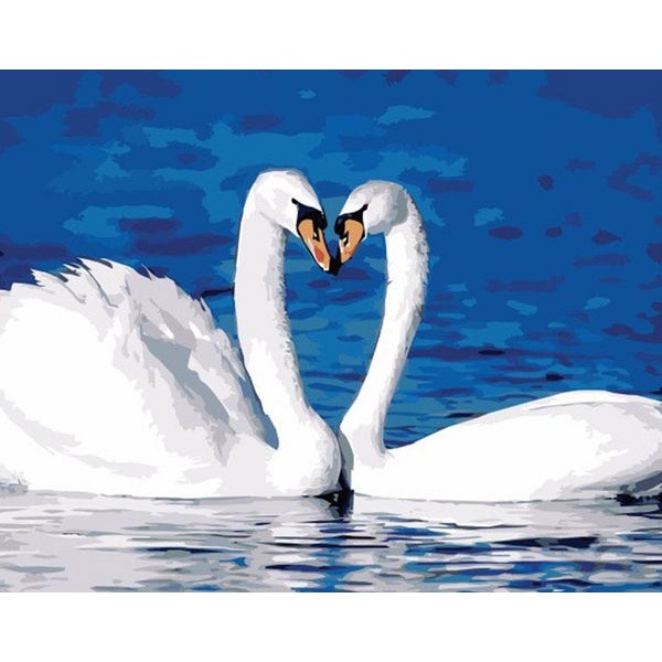 White Swans in Blue Water