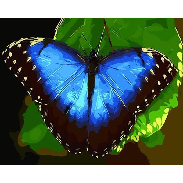 Blue Butterfly on Green Leaf