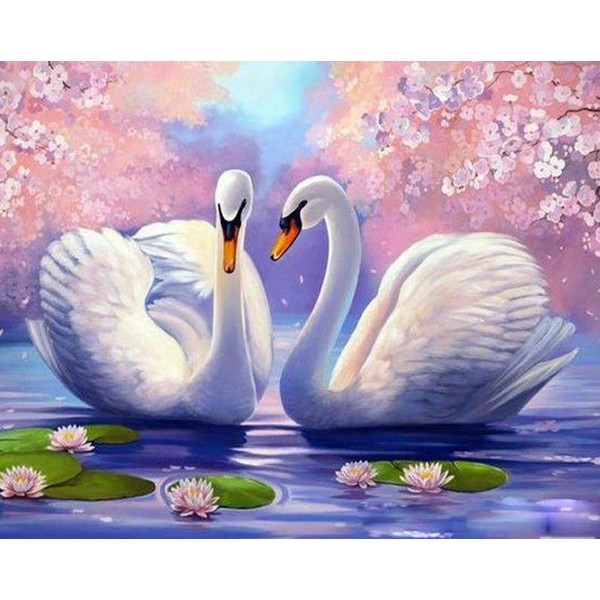 Swans Pair & Lotus Flowers