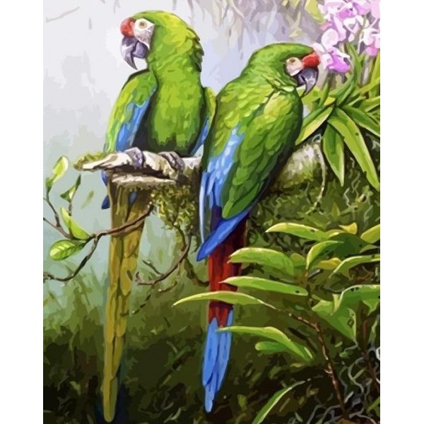 Beautiful Green Parrots Pair