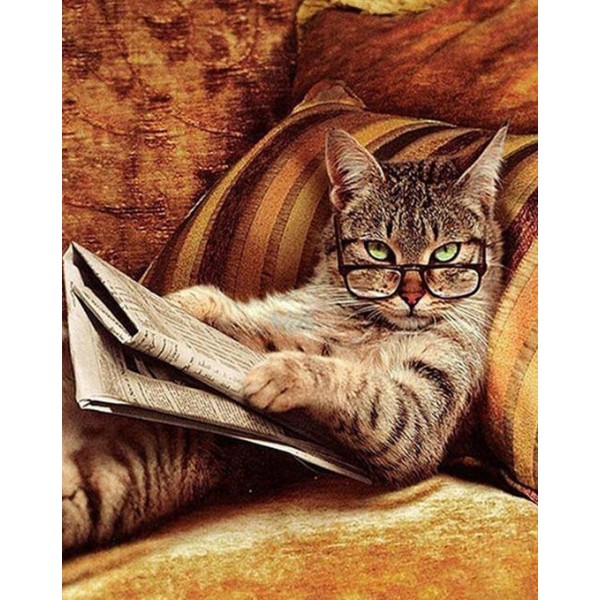 Cat Reading Newspaper