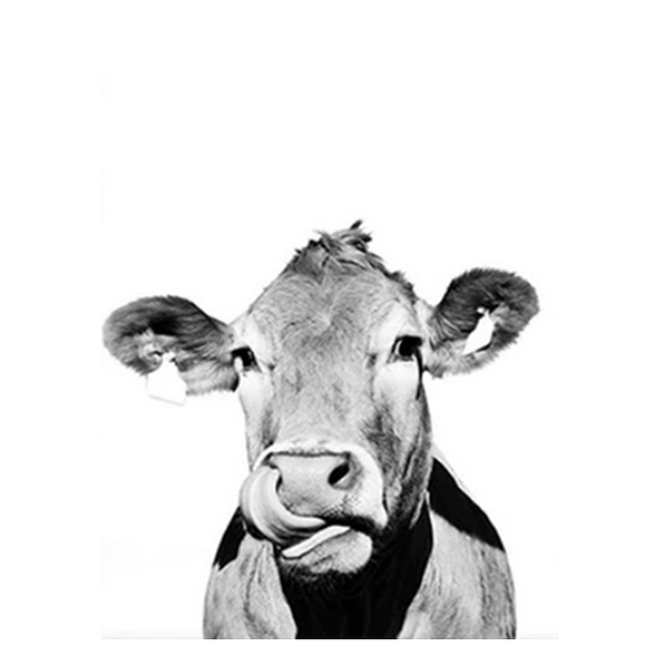 Black & White Cow Painting Kit