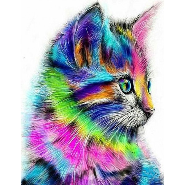 Colorful Cat DIY Painting