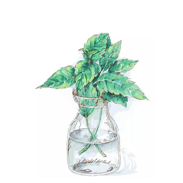 Green Plant in Glass Bottle