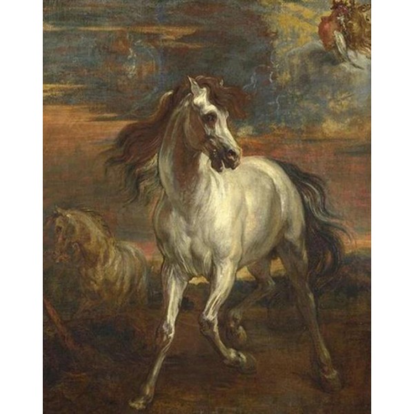 Horses - Anthony Van Dyck