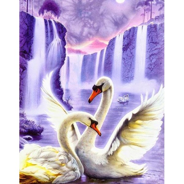 Swans Pair at Fantasy Place