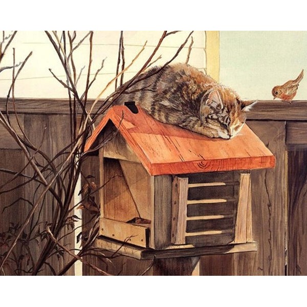 Cat Resting on Birds House