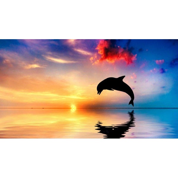 Diving Dolphin & Setting Sun
