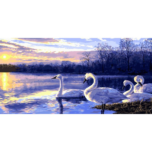 Swans in the Lake