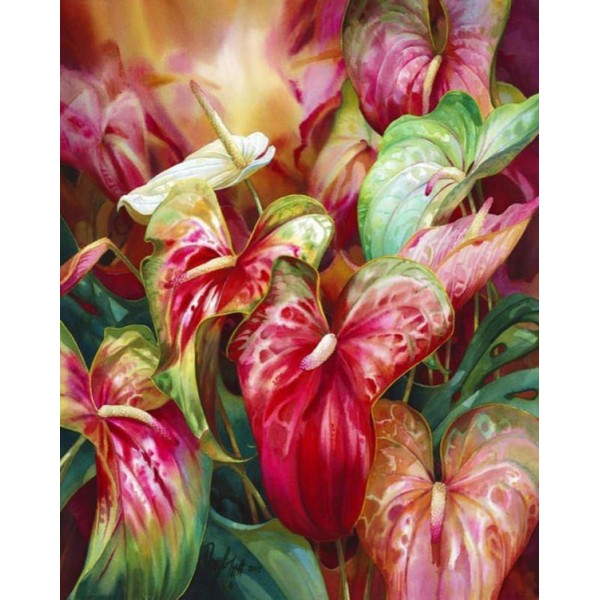 Beautiful Flowers - Darryl Trott