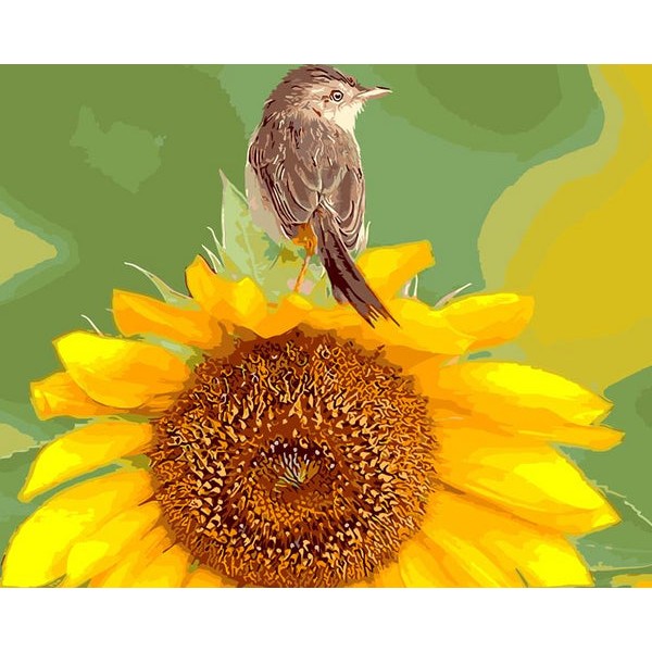 Sparrow & Sunflower