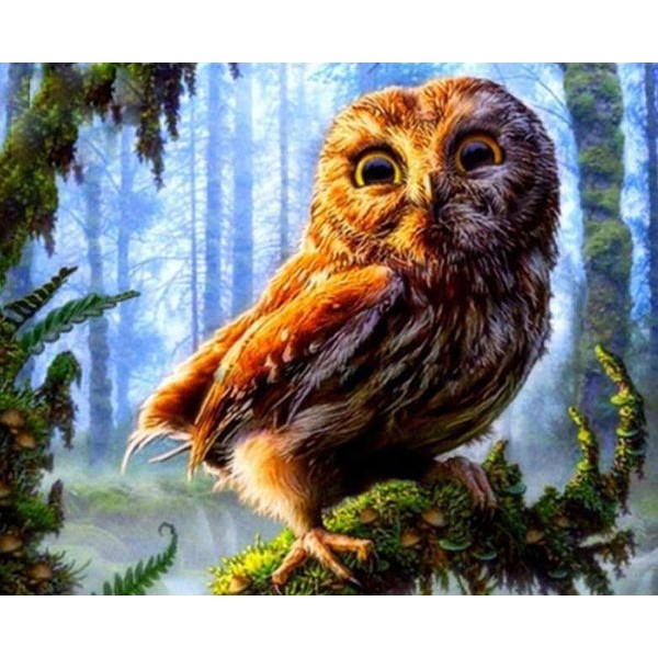 Cute Owl in the Forest
