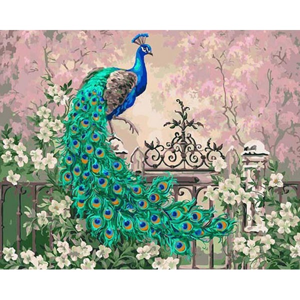 Stunning Peacock & Flowers