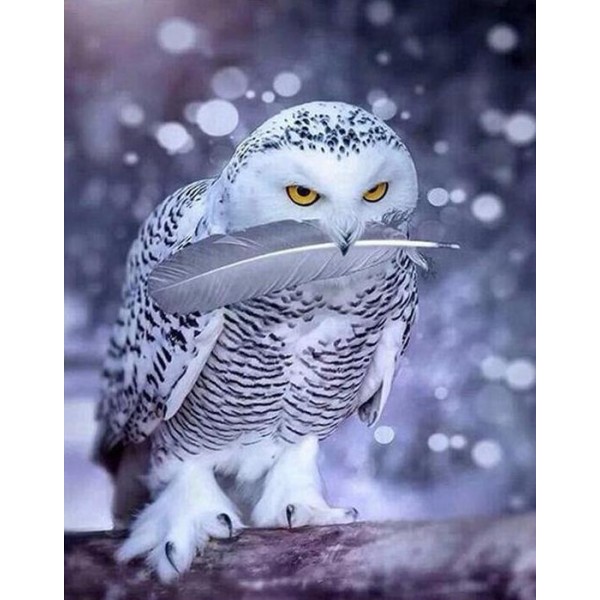 Stunning White Owl
