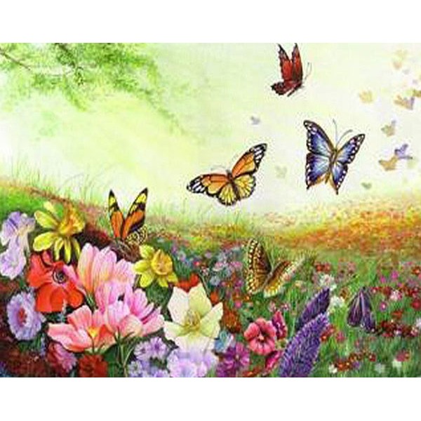 Colorful Flowers & Butterflies