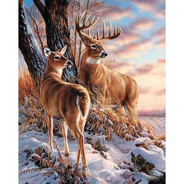 Stag & Deer in Snow