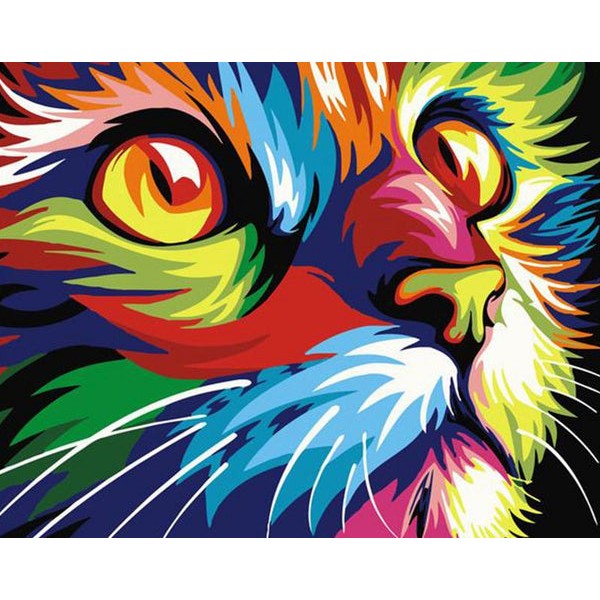 Colorful Cat Face