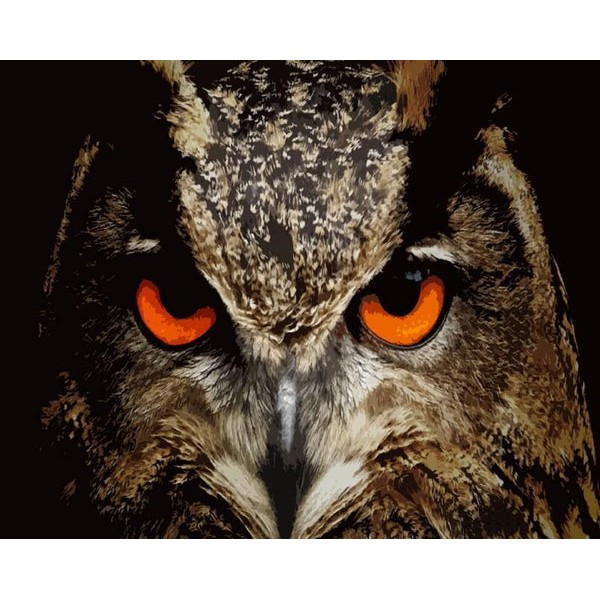 Owl Painting Kit