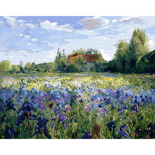 Iris Field Paint by Numbers