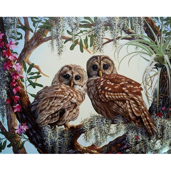 Stunning Owls Pair on Tree